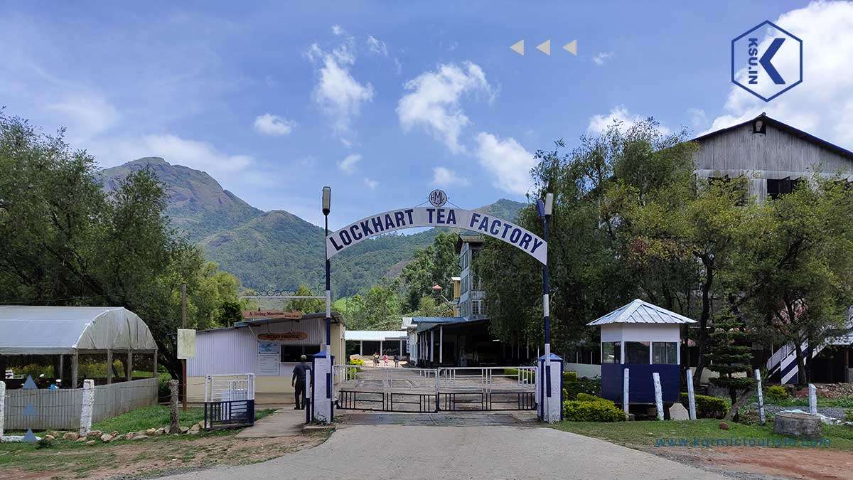 Lockhart Tea Factory