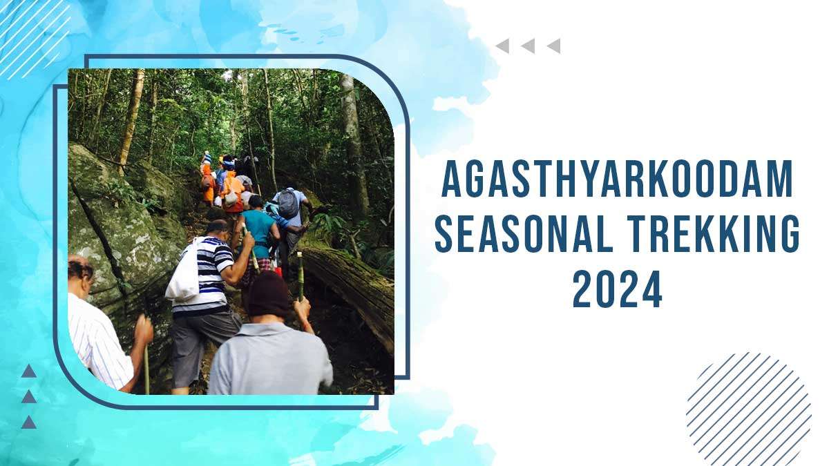 Agasthyarkoodam Seasonal Trekking 2024