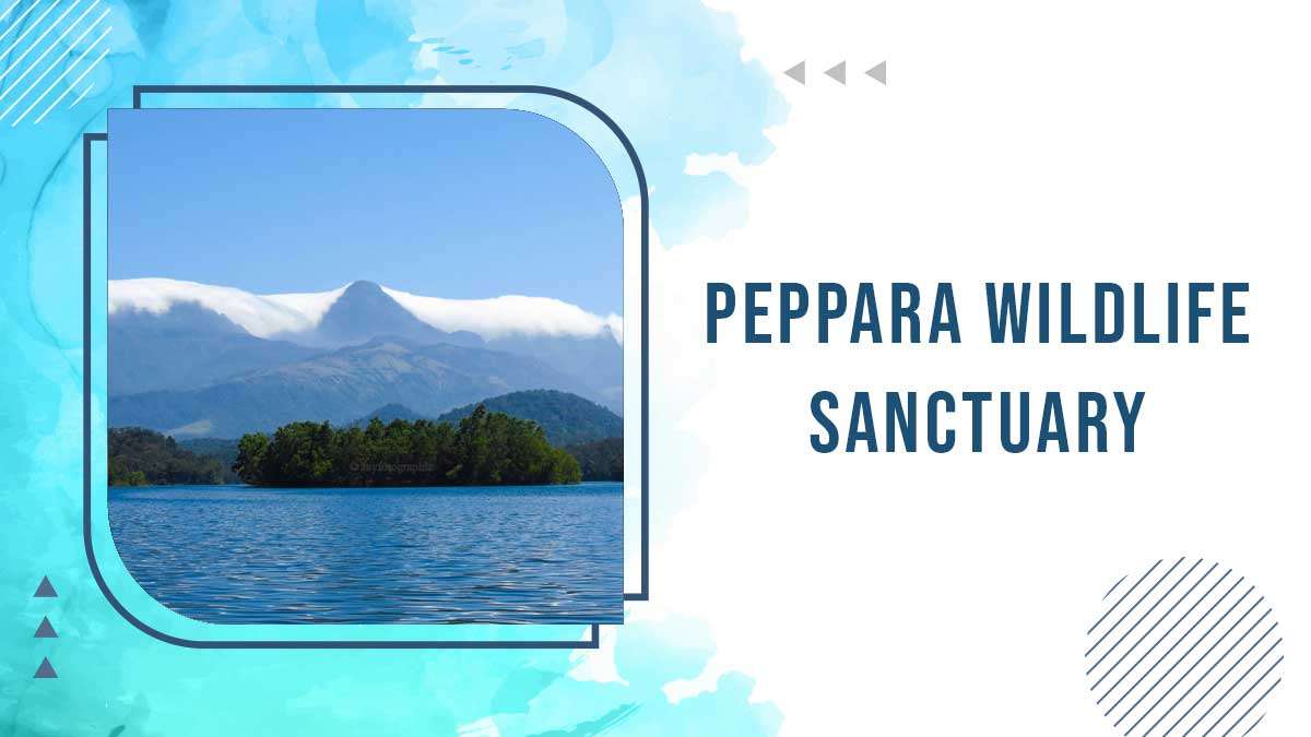 Peppara Wildlife Sanctuary
