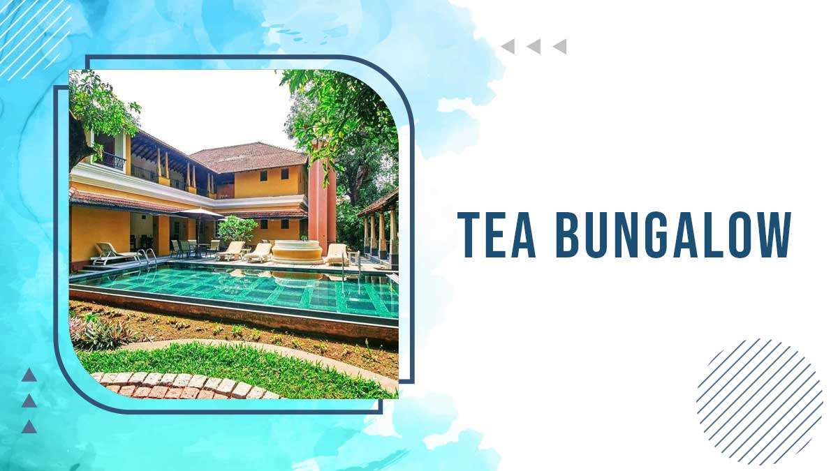 Tea Bungalow