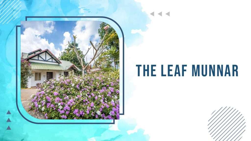 The Leaf Munnar