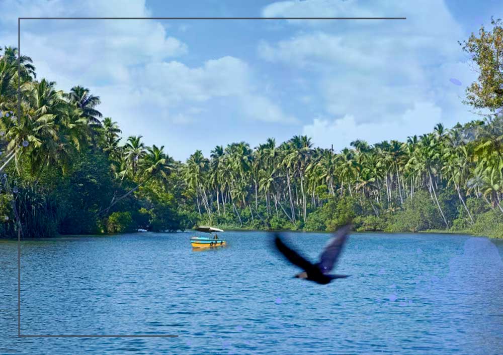 Poovar Photos