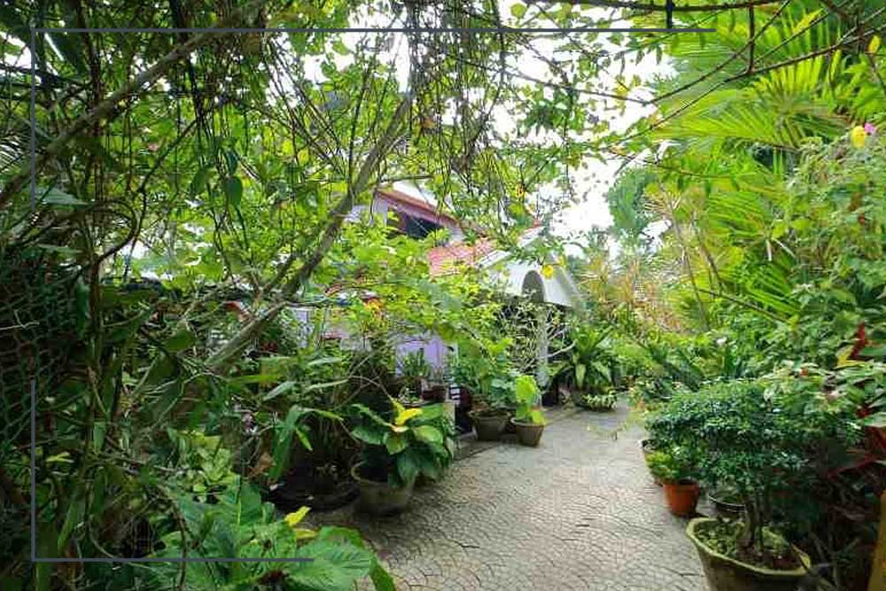 Bella-Homestay Bella Homestay