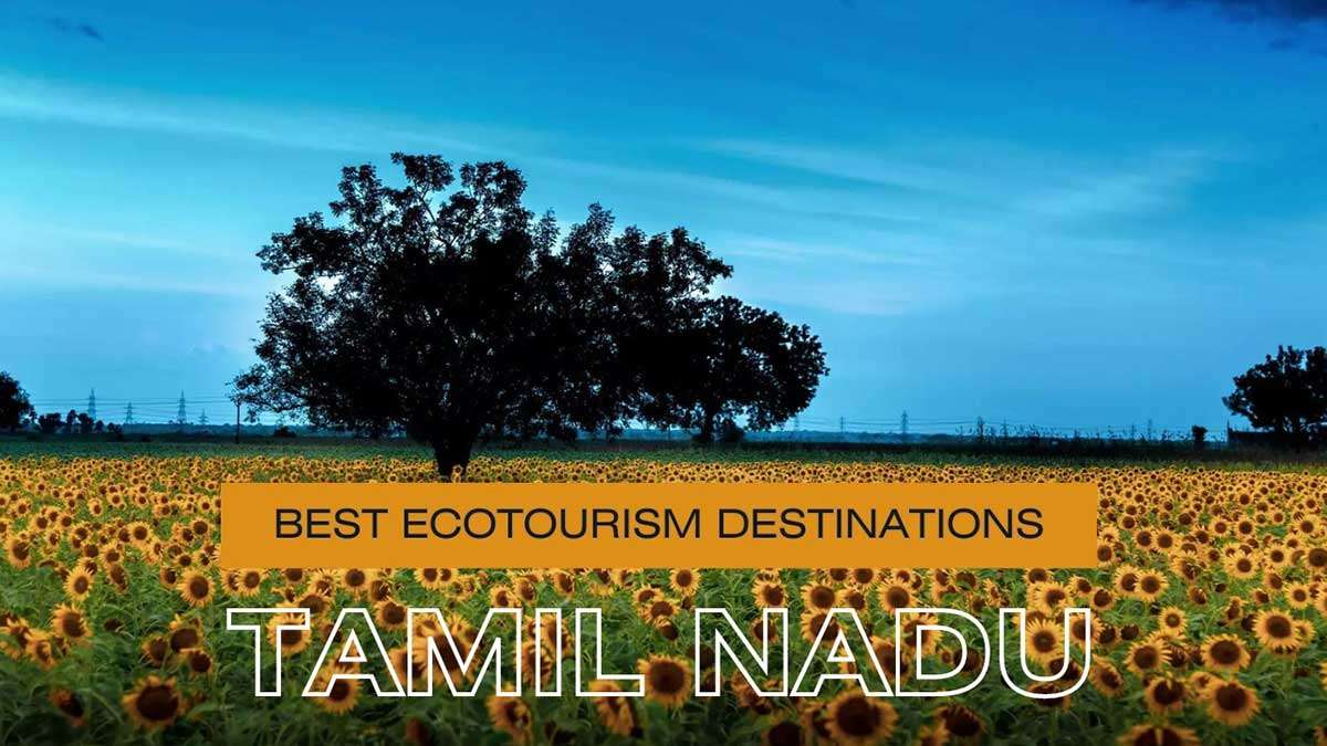 Best Ecotourism Destinations In Tamil Nadu
