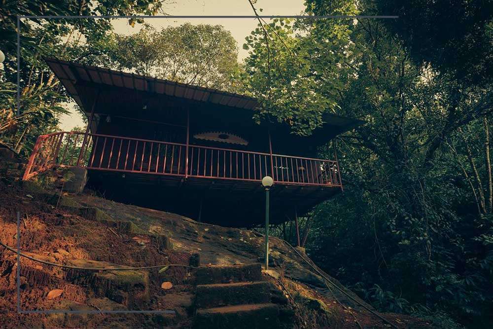 Ela-Ecoland-Munnar Ela Ecoland Munnar