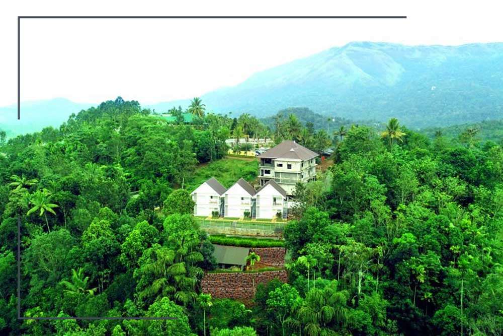 Munnar-Ice-Queen Munnar Ice Queen
