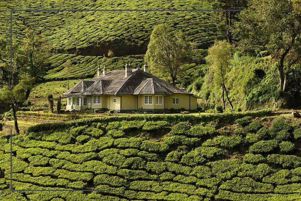 Sholamallay-Bungalow Sholamallay Bungalow