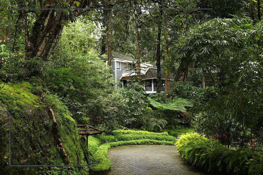 The-Tall-Trees-Resorts The Tall Trees Resorts