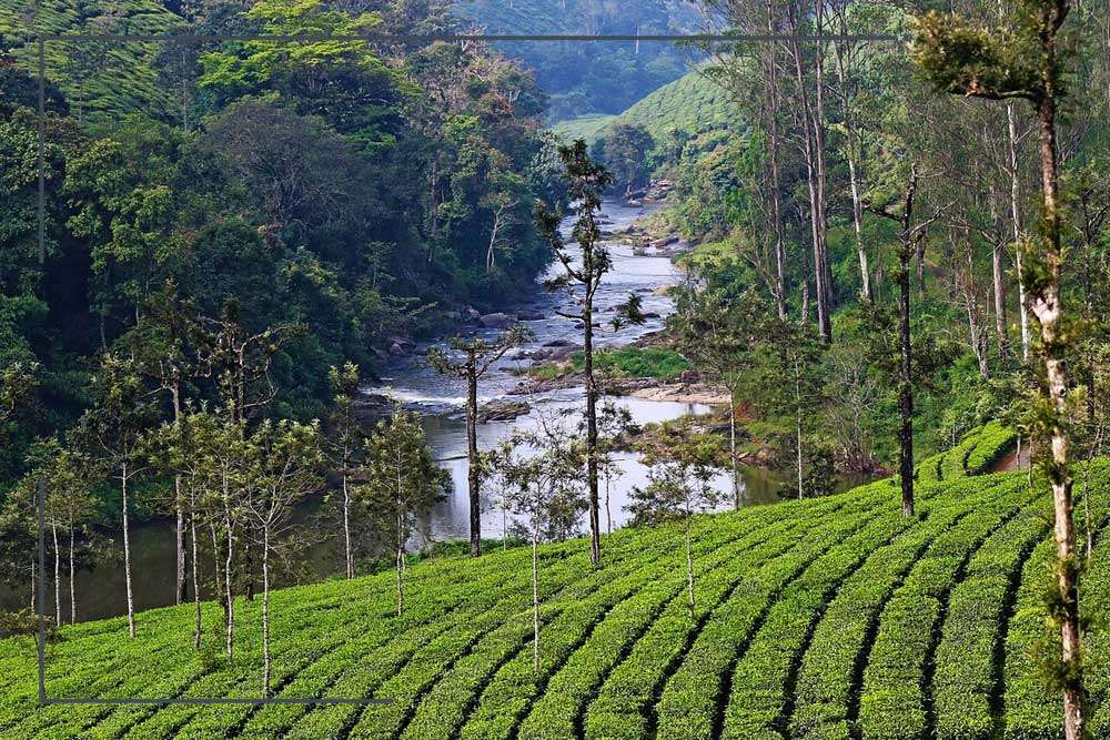 Valparai Valparai
