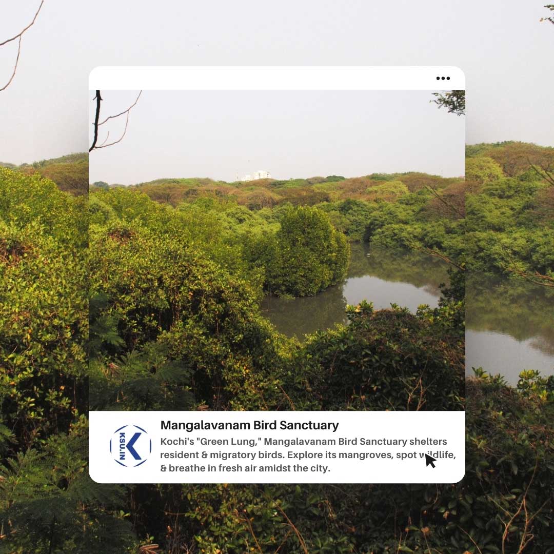 Mangalavanam Bird Sanctuary Mangalavanam Bird Sanctuary