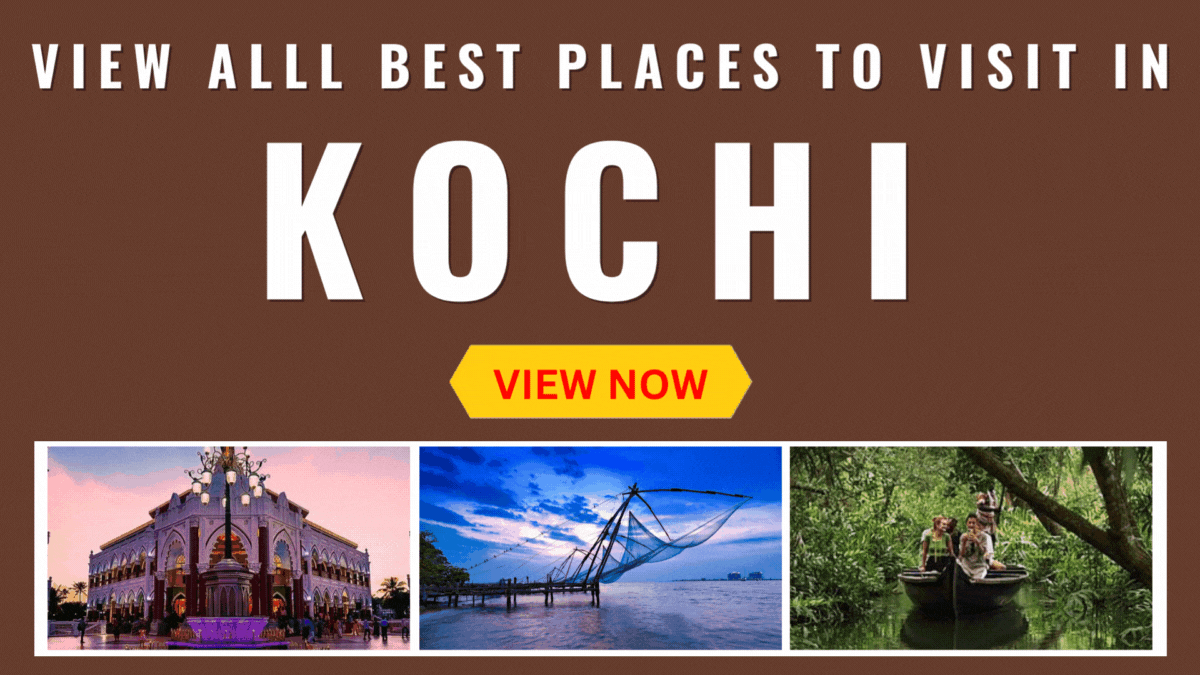 View All Hotels In Kochi (Cochin)